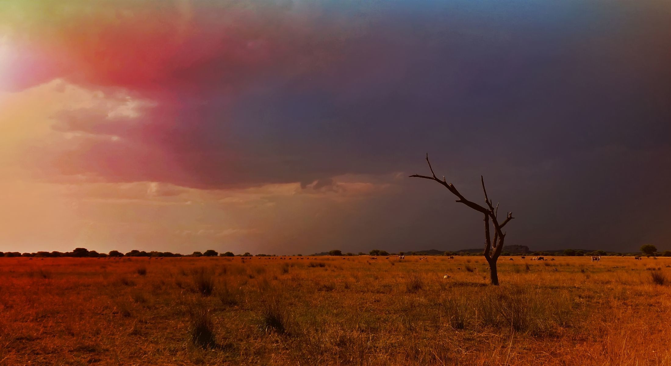 Zwahili Private Game Lodge & Spa - Surroundings