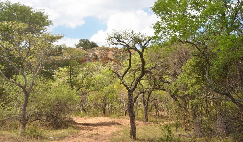 Zwahili Private Game Lodge & Spa - Surroundings