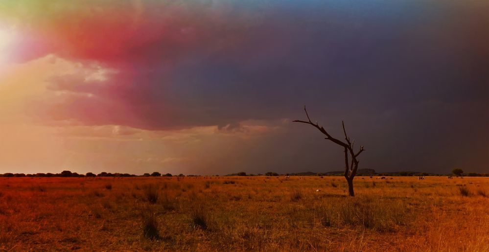 Zwahili Private Game Lodge & Spa - Surroundings