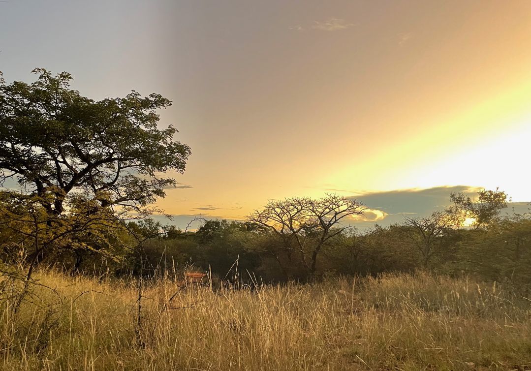Zwahili Private Game Lodge & Spa - Activities