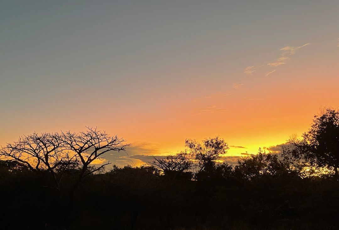 Zwahili Private Game Lodge & Spa - Surroundings